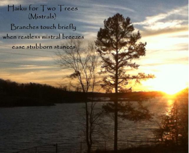 Haiku for Two Trees (Mistrals)
